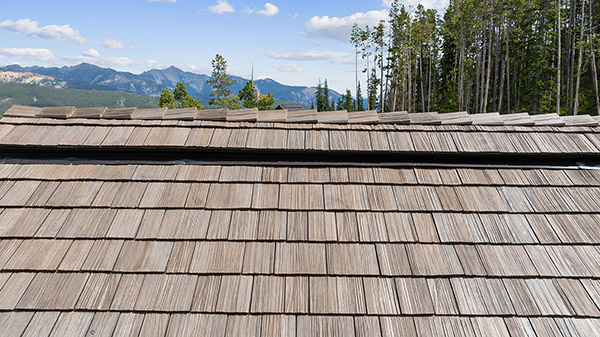 Brava Natural Cedar Pic 9 Brava Natural Cedar Pic 9