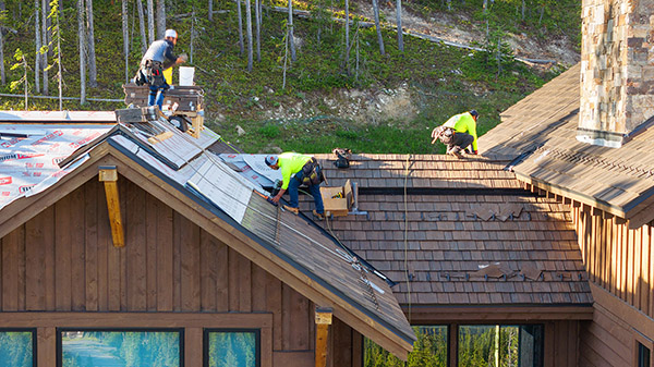 Brava Natural Cedar Pic 11 Brava Natural Cedar Pic 11