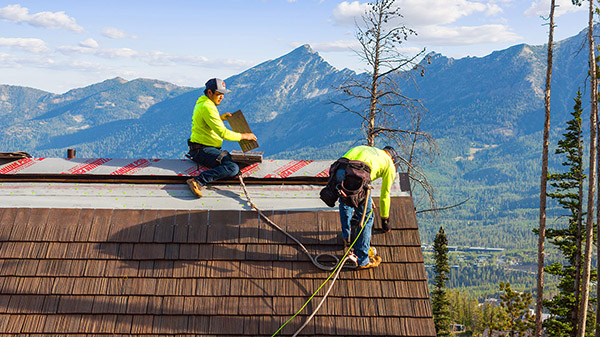 Brava Natural Cedar Pic 13 Brava Natural Cedar Pic 13
