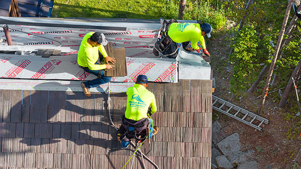 Brava Natural Cedar Pic 15 Brava Natural Cedar Pic 15