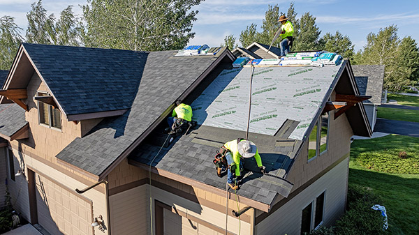 Malarkey Vista - Midnight Black Pic 5 Malarkey Vista - Midnight Black Pic 5