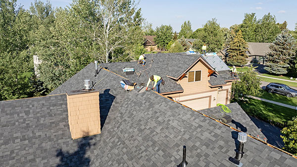 Malarkey Vista - Midnight Black Pic 6 Malarkey Vista - Midnight Black Pic 6