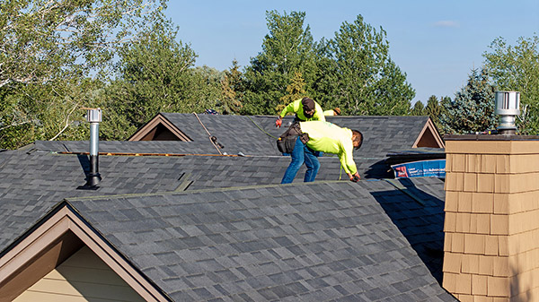 Malarkey Vista - Midnight Black Pic 8 Malarkey Vista - Midnight Black Pic 8