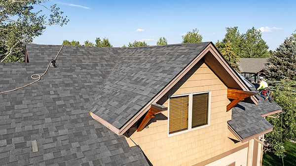 Malarkey Vista - Midnight Black Pic 9 Malarkey Vista - Midnight Black Pic 9